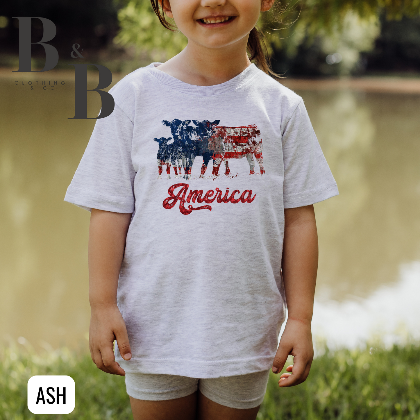 America Cows