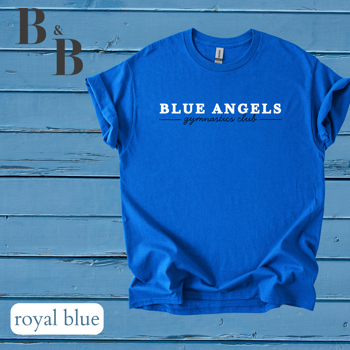 Blue Angels Tee/Sweatshirt/Hoodie Youth