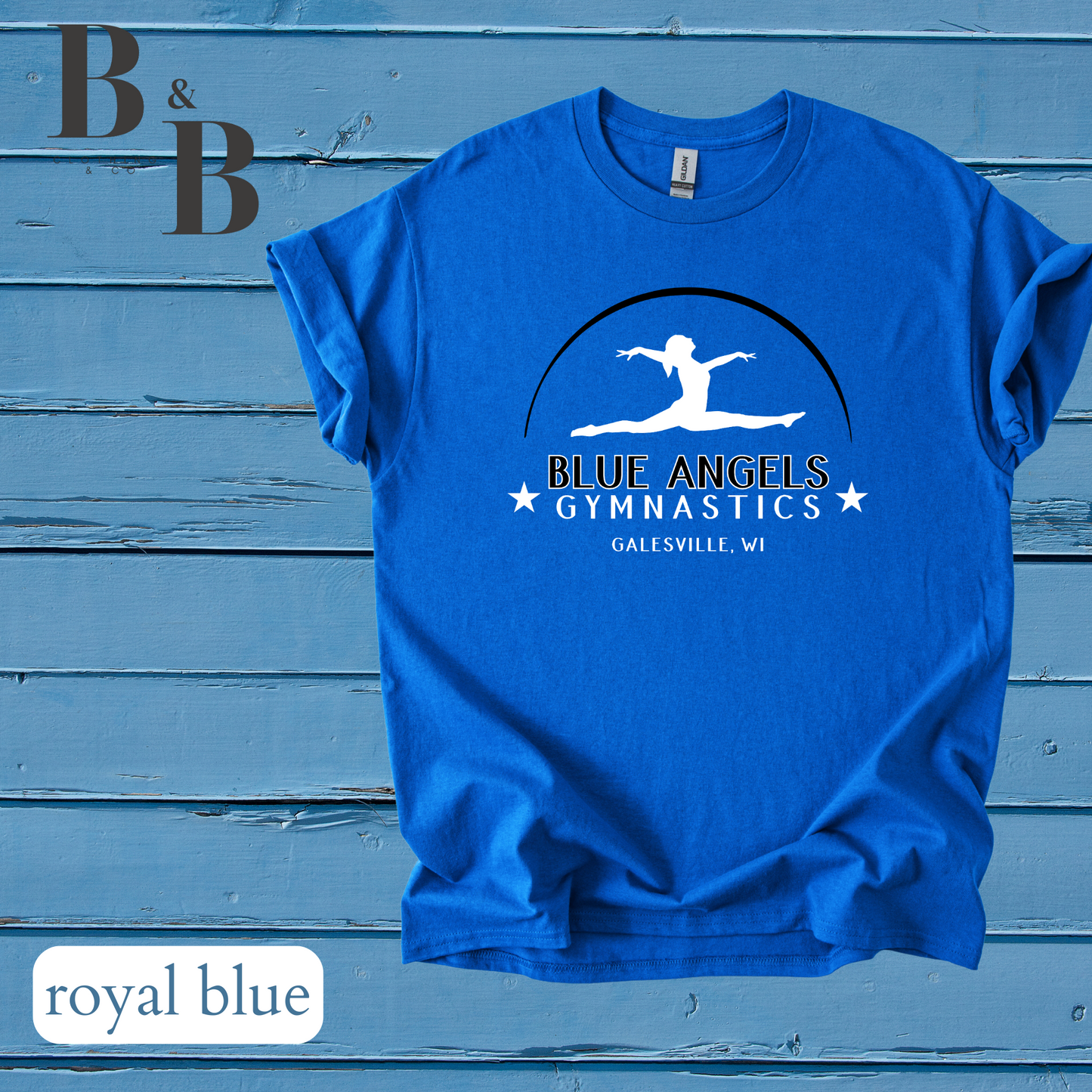 Blue Angels Tee/Sweatshirt/Hoodie