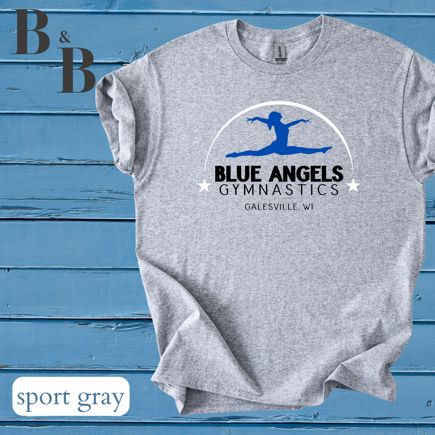 Blue Angels Tee/Sweatshirt/Hoodie
