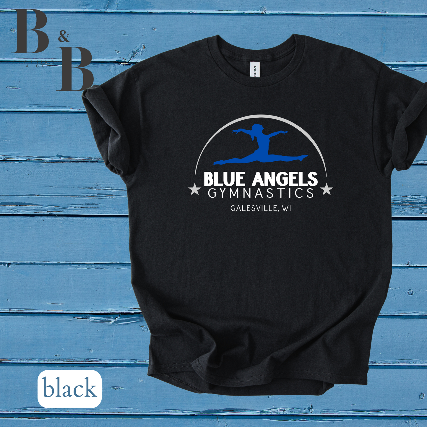 Blue Angels Tee/Sweatshirt/Hoodie