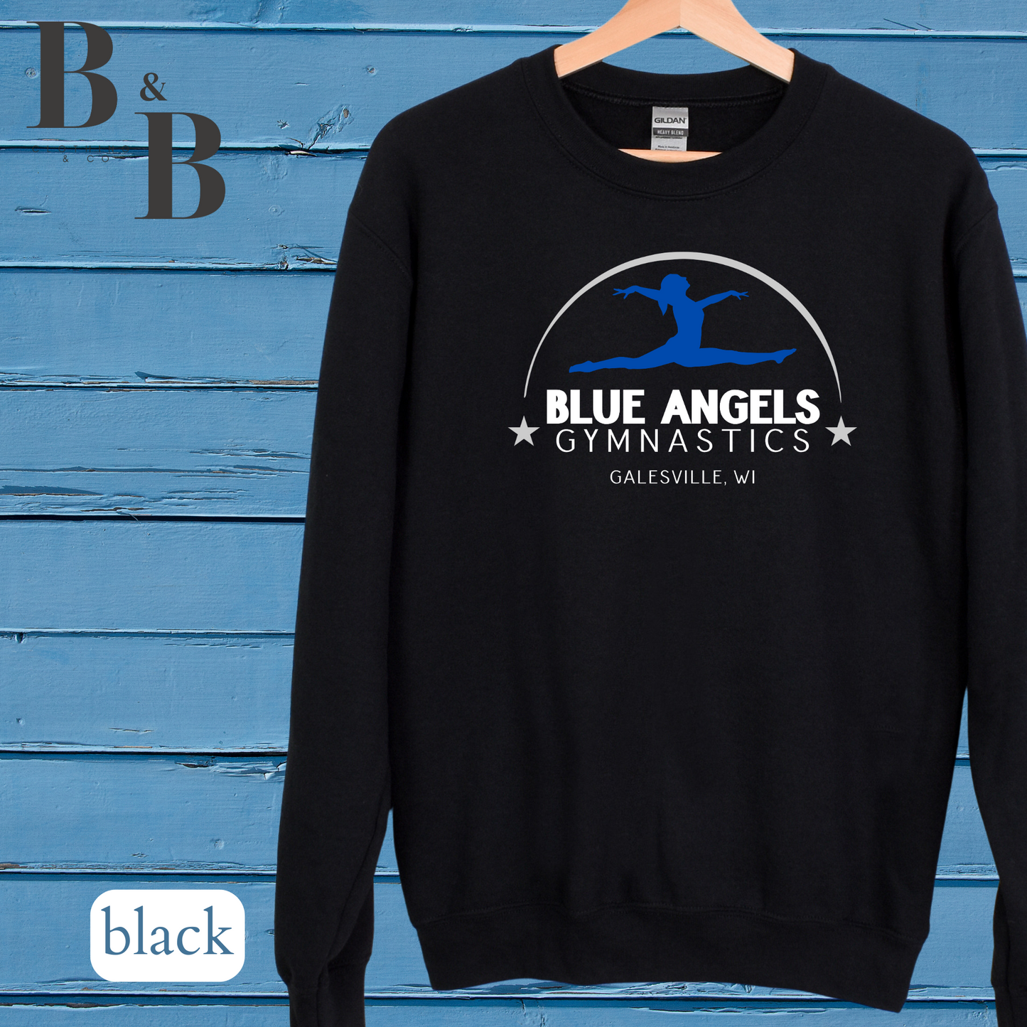Blue Angels Tee/Sweatshirt/Hoodie