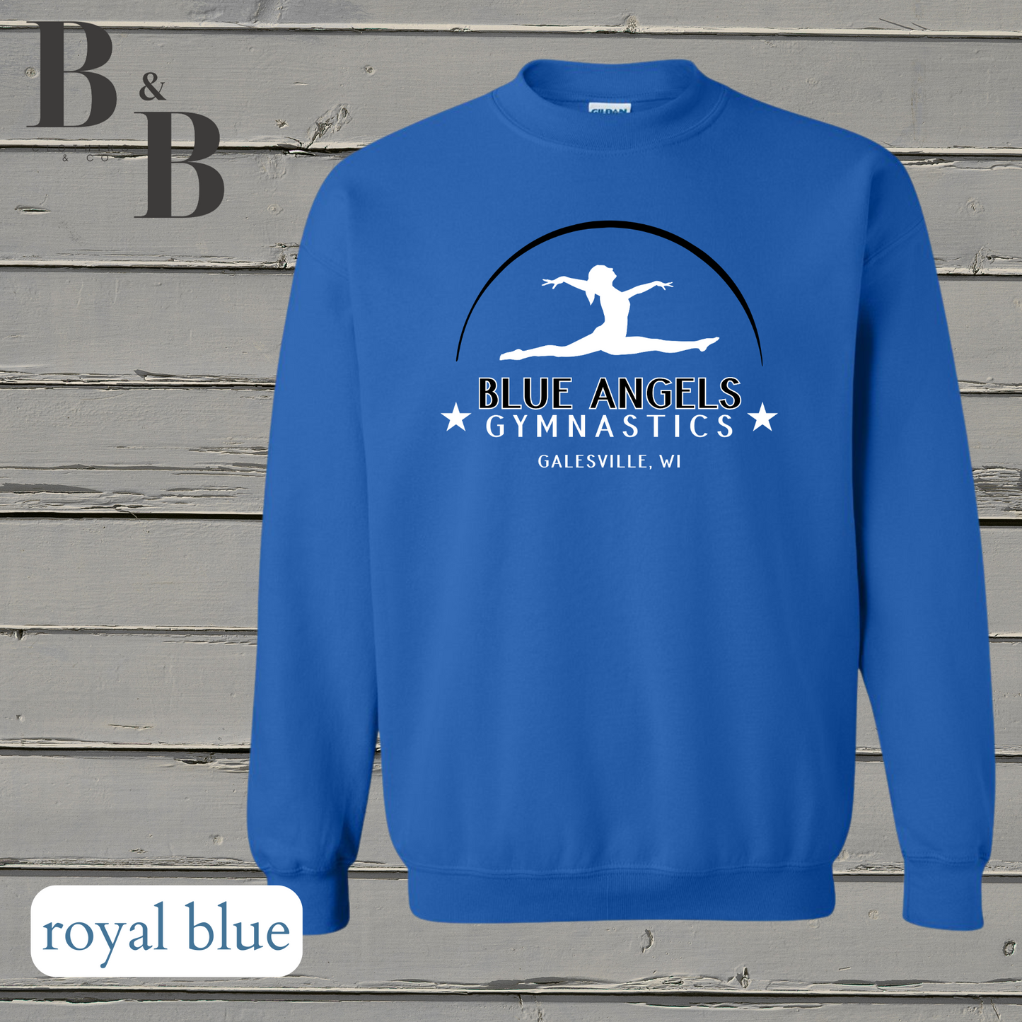 Blue Angels Tee/Sweatshirt/Hoodie