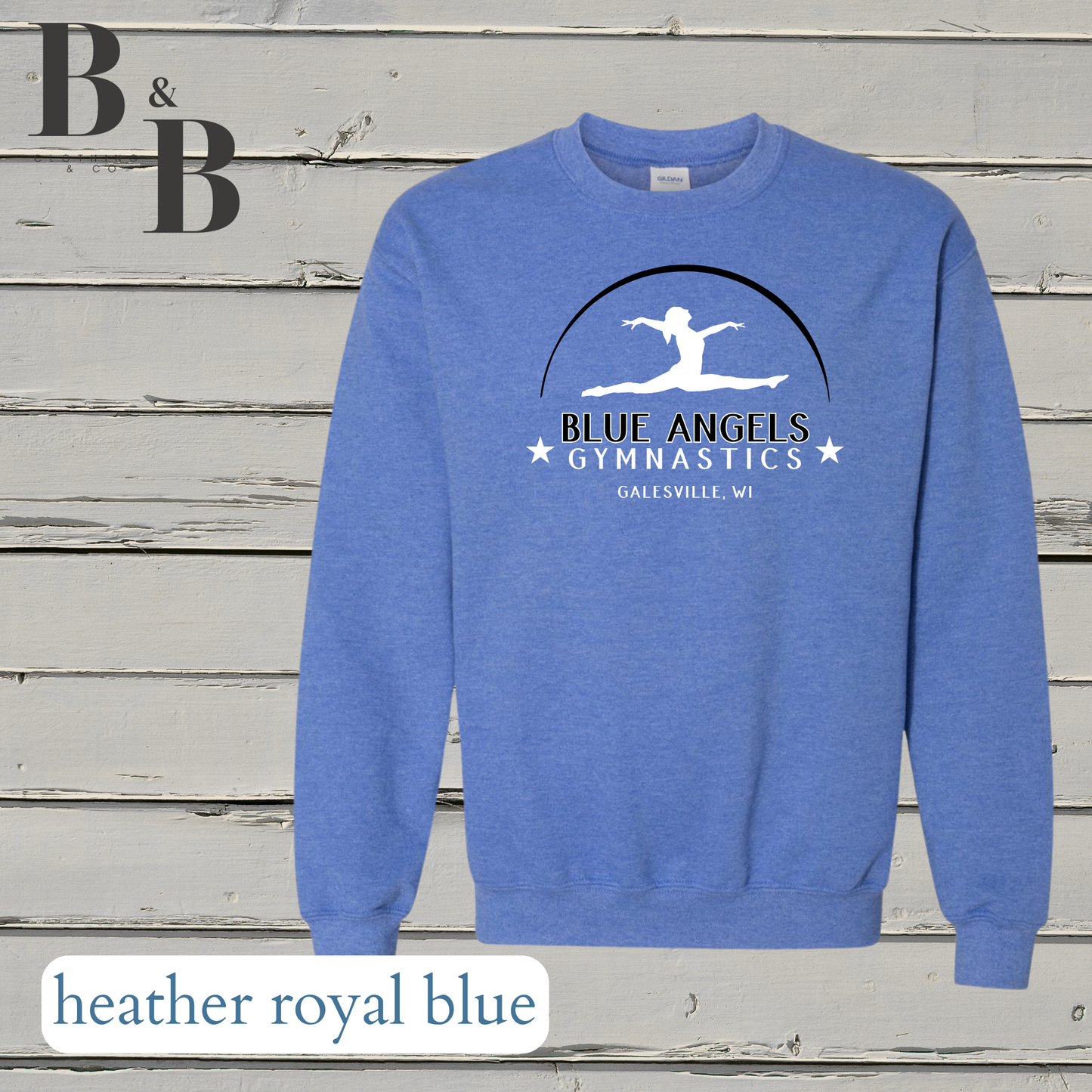 Blue Angels Tee/Sweatshirt/Hoodie