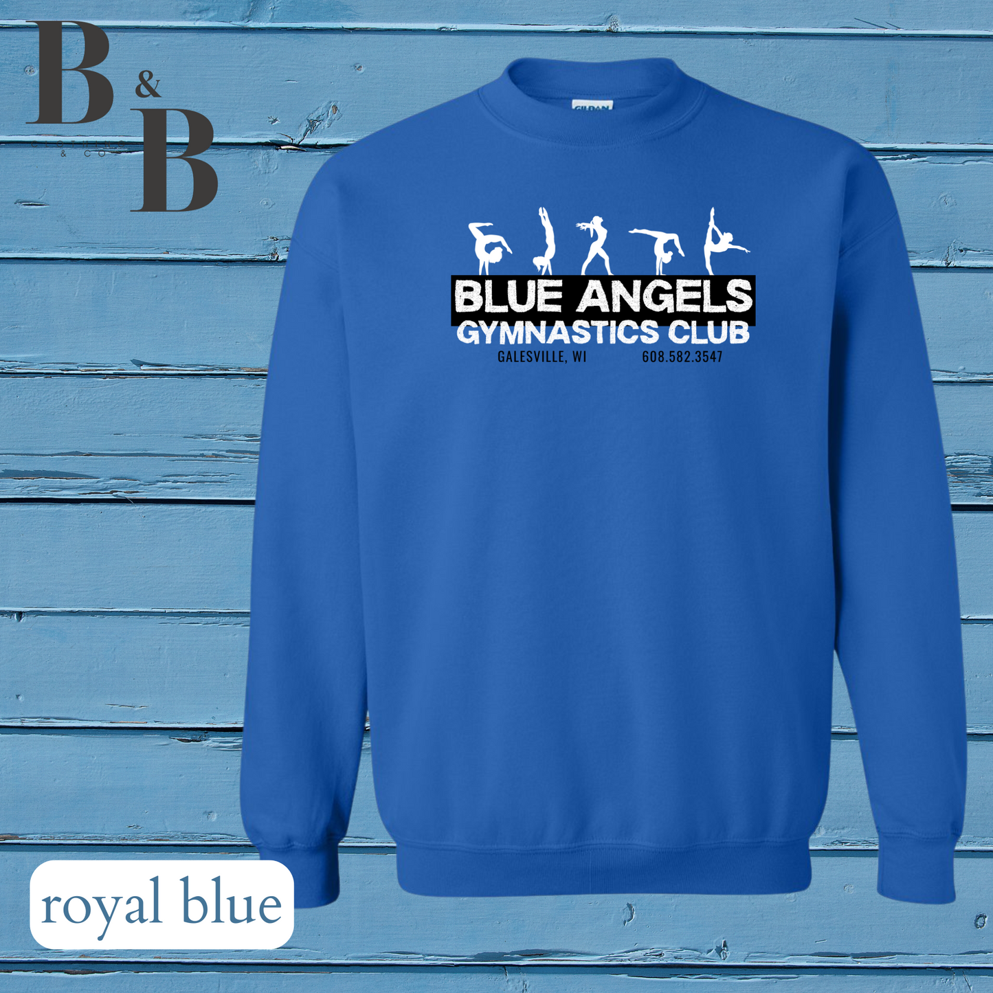 Blue Angels Tee/Sweatshirt/Hoodie Youth