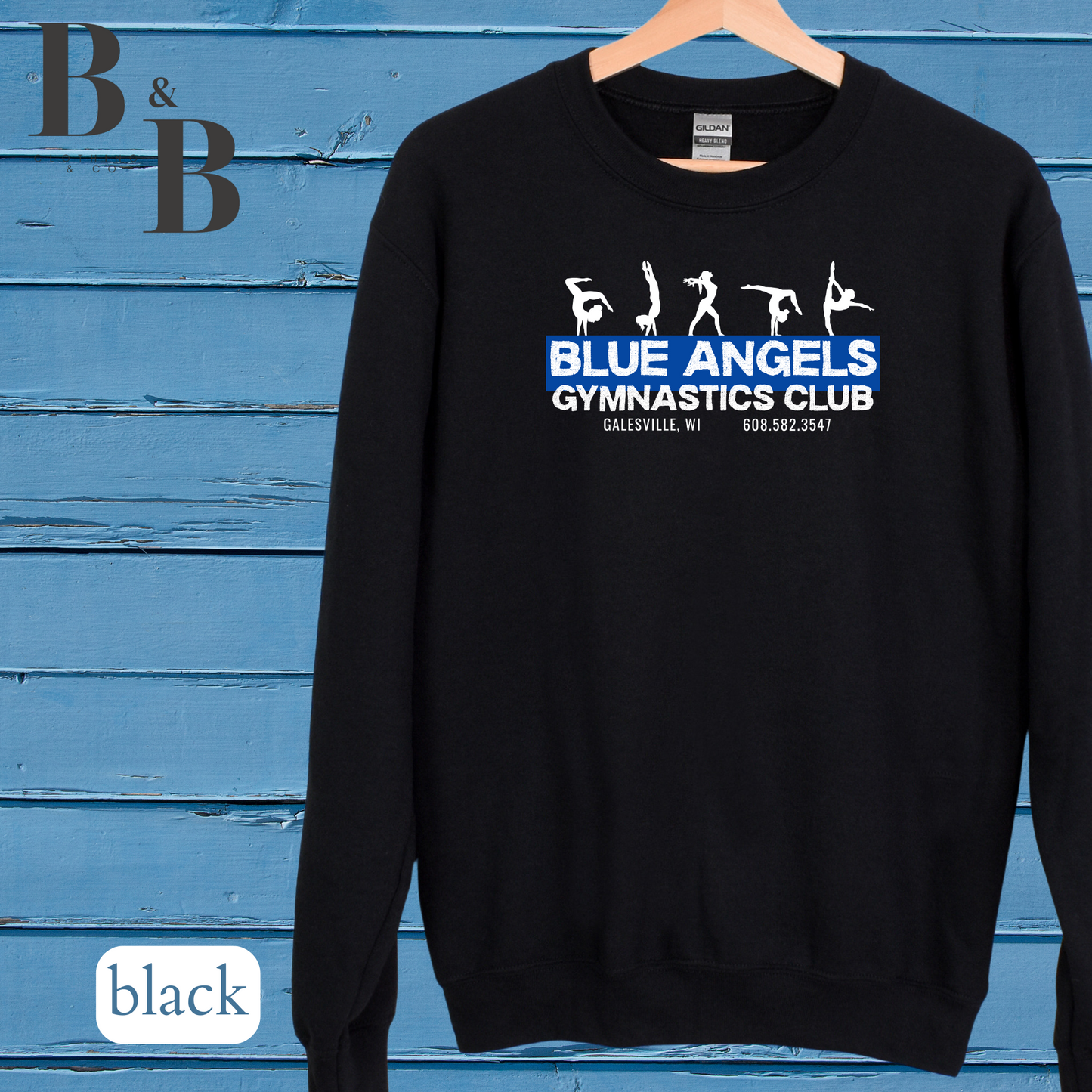 Blue Angels Tee/Sweatshirt/Hoodie Youth