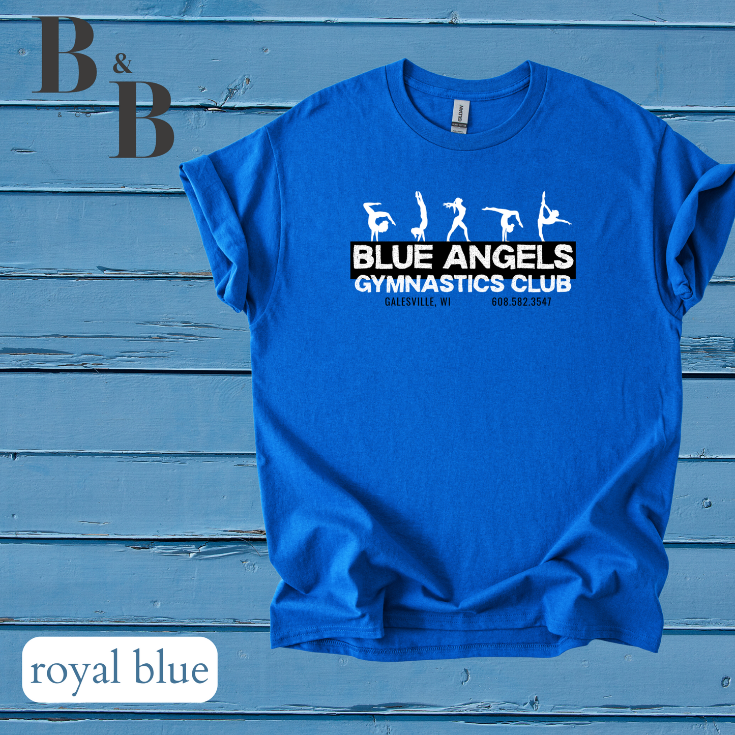 Blue Angels Tee/Sweatshirt/Hoodie Youth