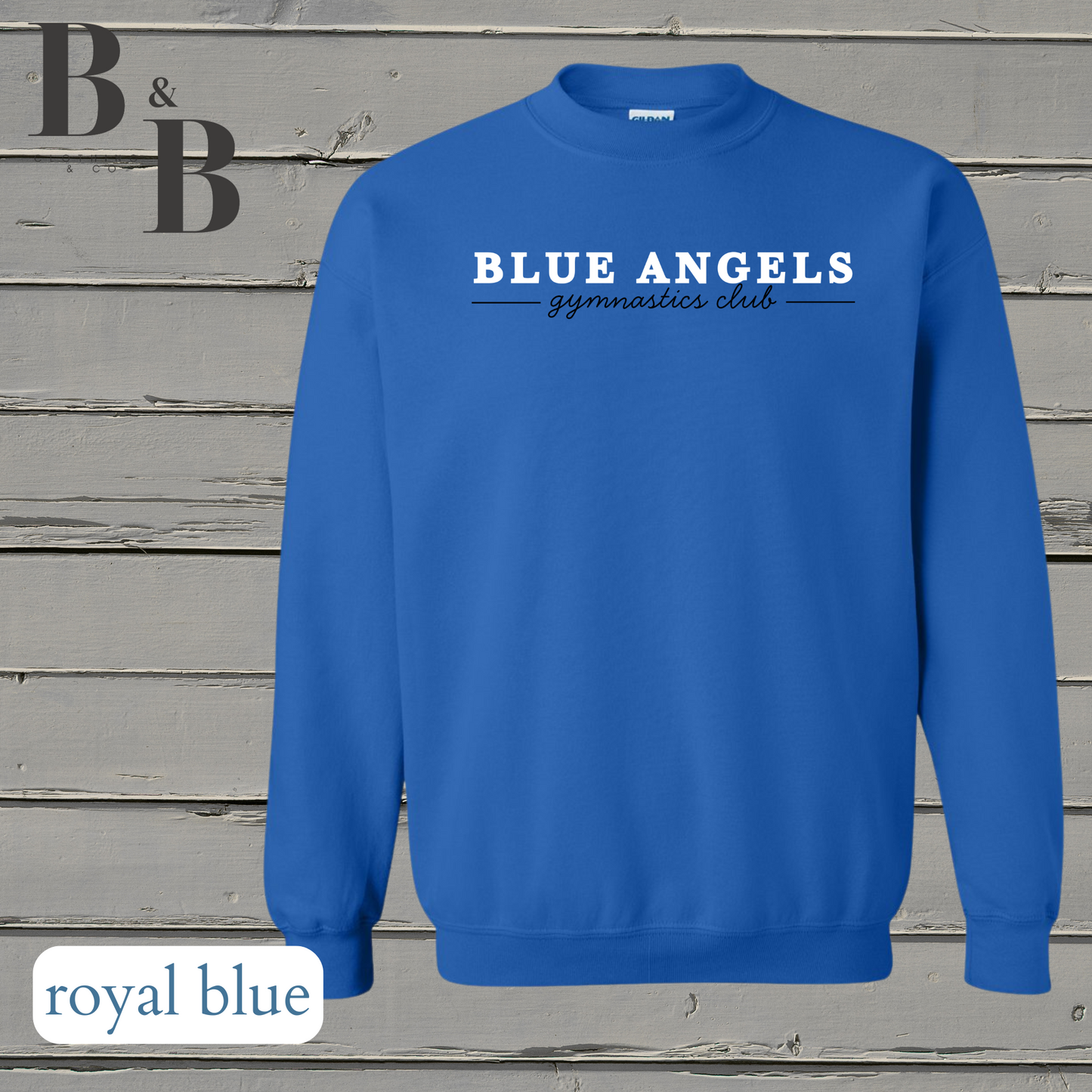 Blue Angels Tee/Sweatshirt/Hoodie Youth