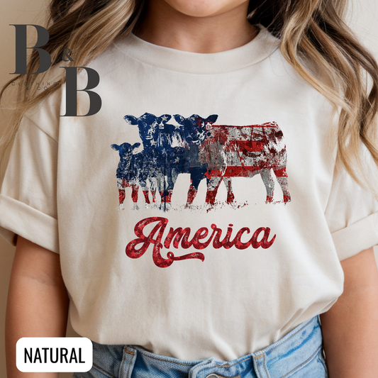 America Cows