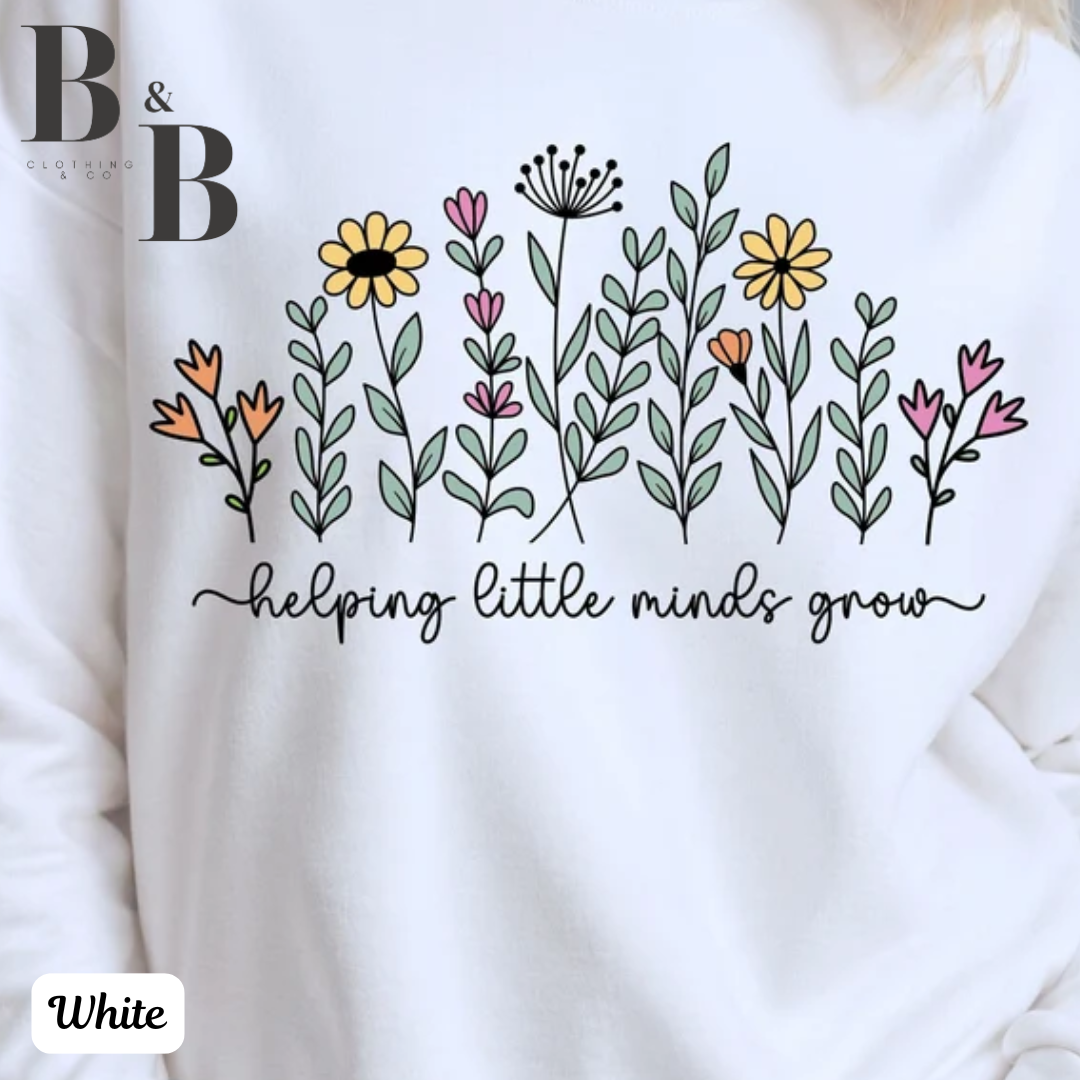 Helping Little Minds Grow