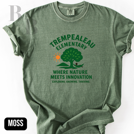 TE- Adult Comfort Color Tees