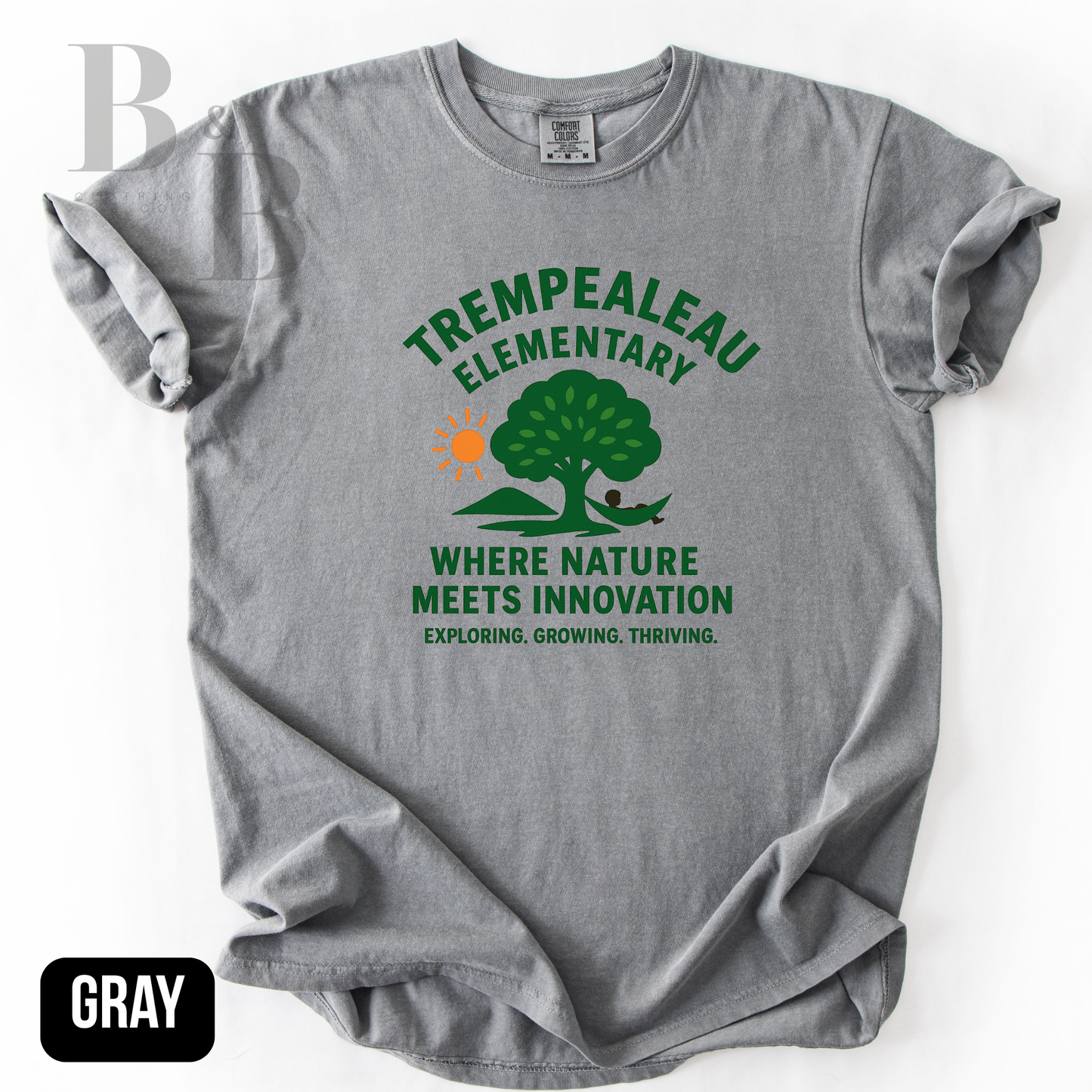 TE- Adult Comfort Color Tees