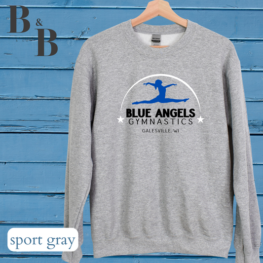 Blue Angels Tee/Sweatshirt/Hoodie