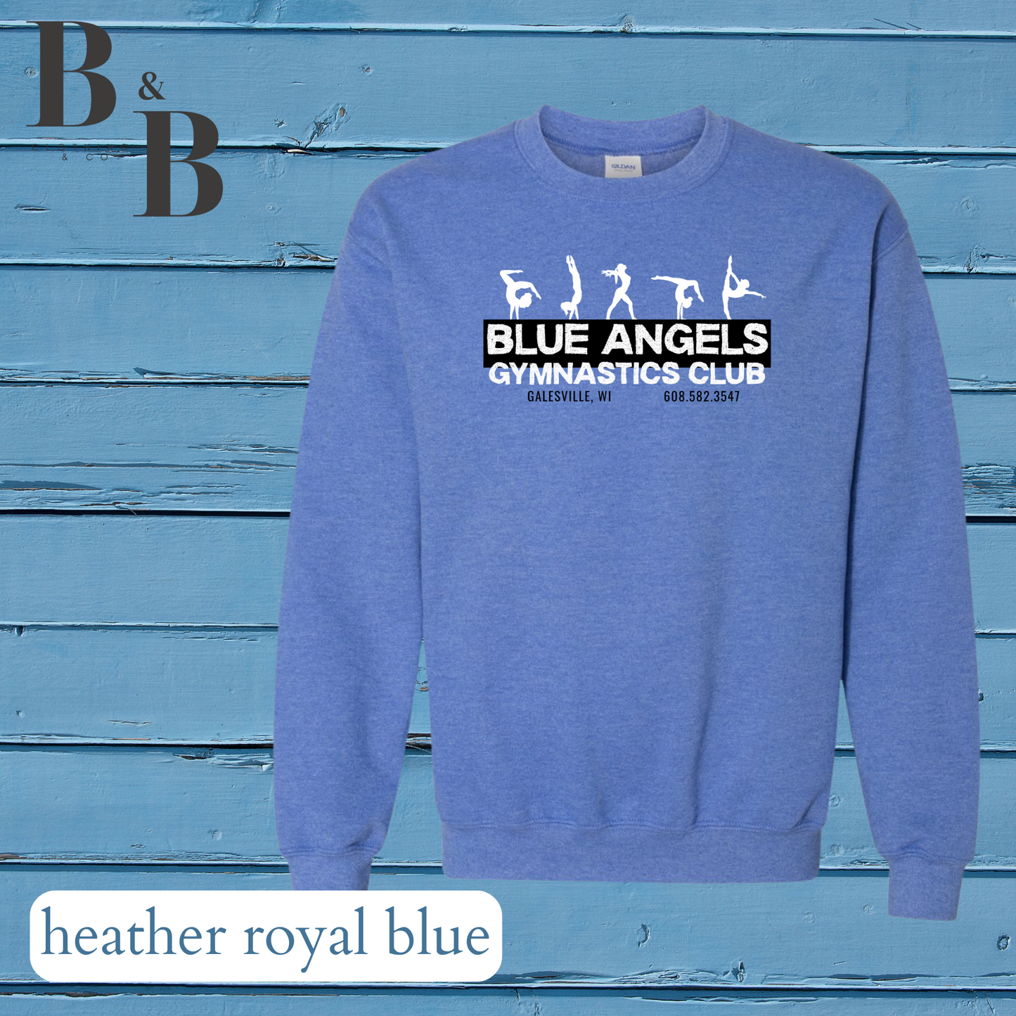 Blue Angels Tee/Sweatshirt/Hoodie