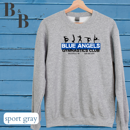 Blue Angels Tee/Sweatshirt/Hoodie